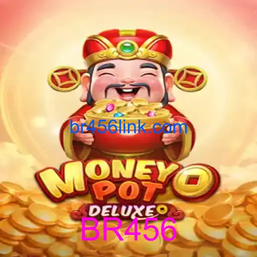 MoneyPotDELUXE